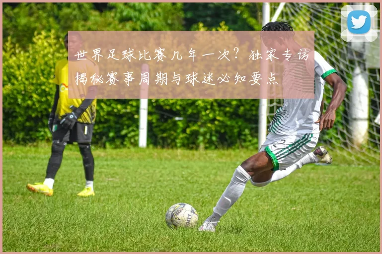 世界足球比赛几年一次？独家专访揭秘赛事周期与球迷必知要点