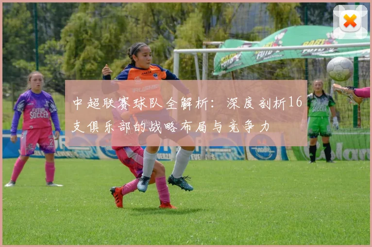 中超联赛球队全解析:深度剖析16支俱乐部的战略布局与竞争力